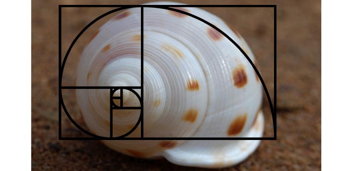 spirale di fibonacci