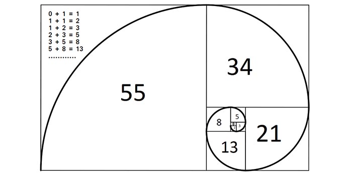 spirale o sequenza di fibonacci